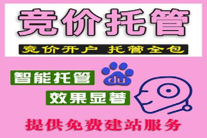 SEM广告投放的优化技巧与实战案例分享